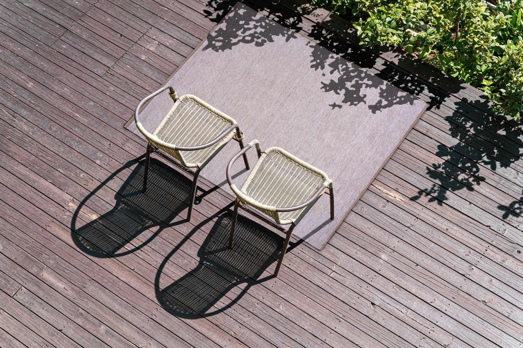 2,Chairs,With,Long,Shadows,On,A,Wooden,Floor,Facing
