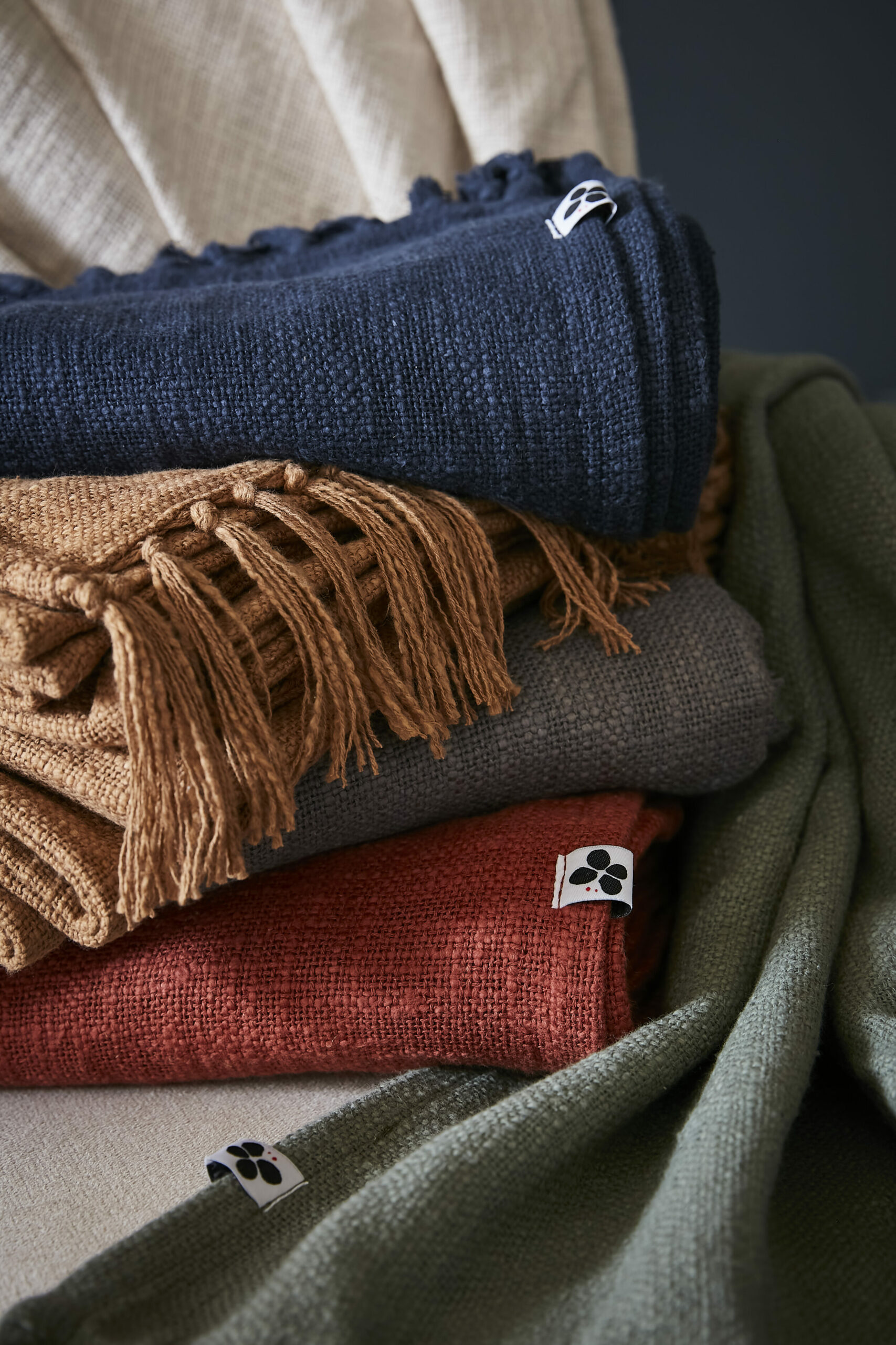 SESTINA-amb-dettaglio-02