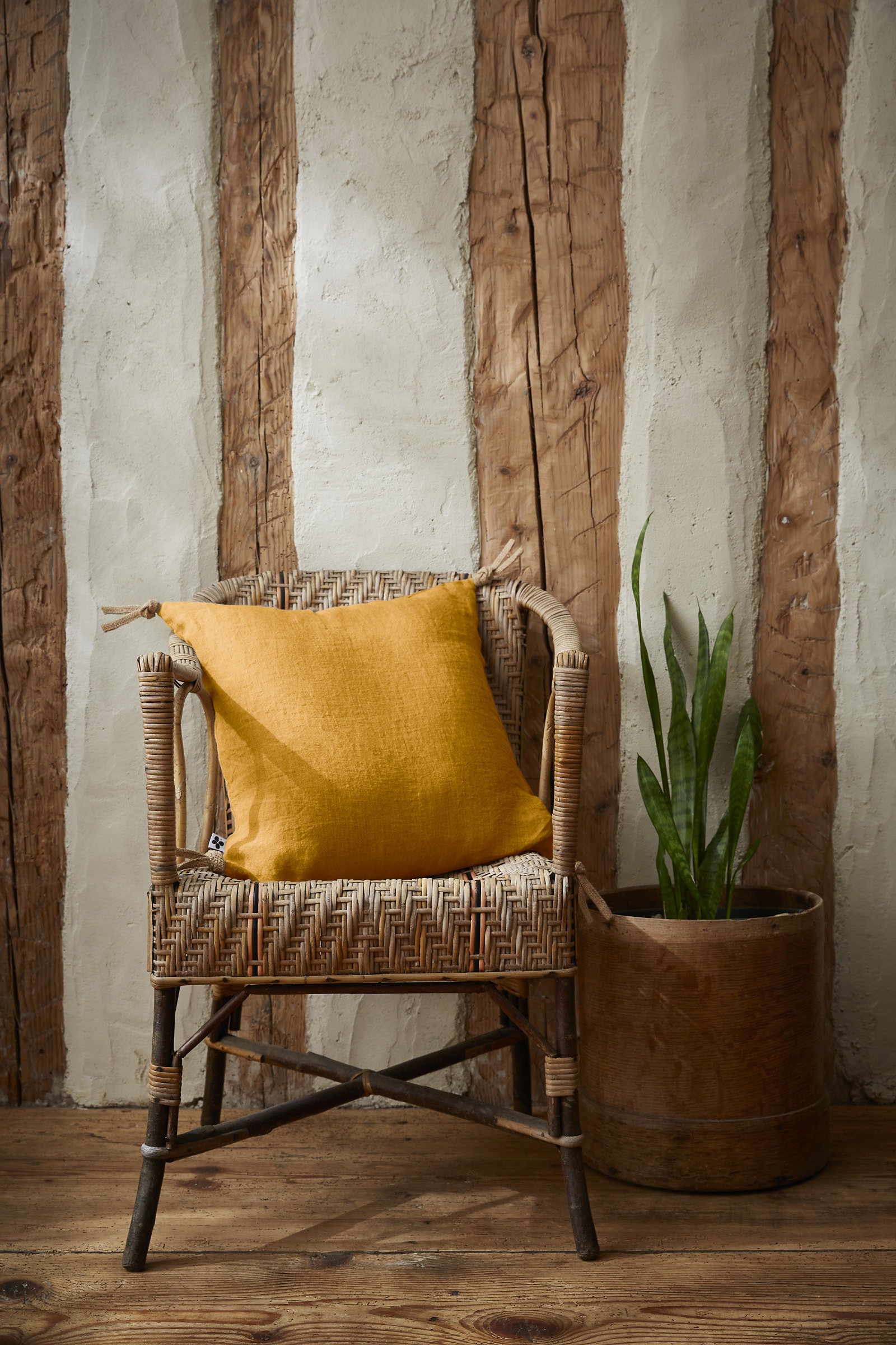 SOLINE-amb-Coussin-miel