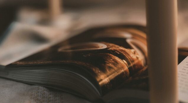 intérieur chaleureux