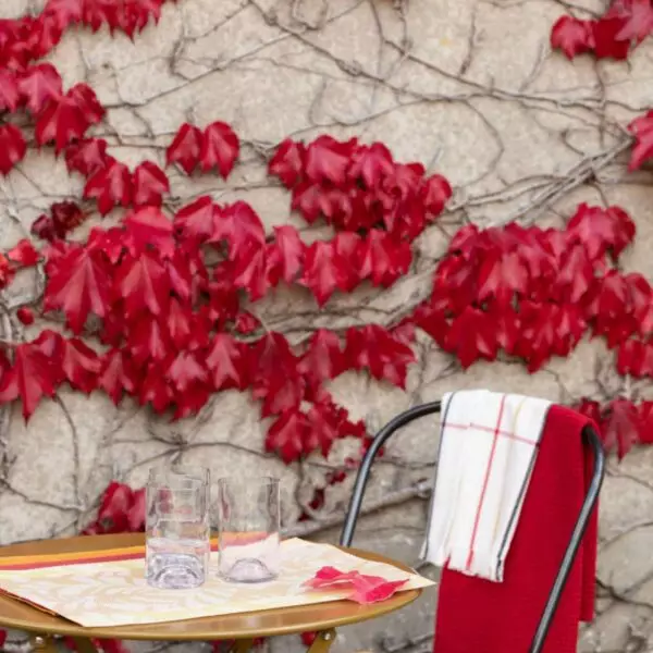 Galette de chaise 36 points Zea recyclée 38 x 38 x 3 cm - Tournesol