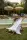 Trueno